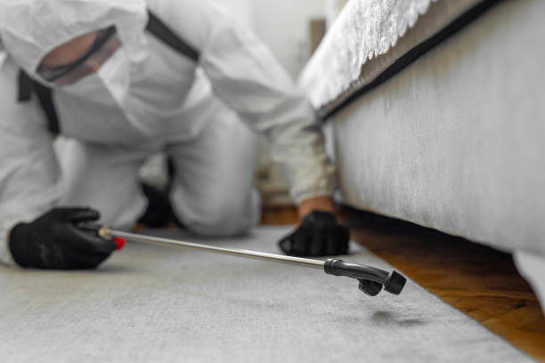 Professional Bed Bug Control technician working in Gulf Hills, MS