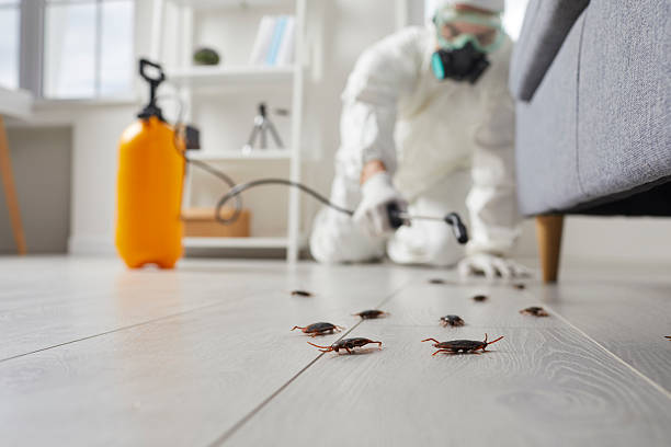Trusted Cockroach Control service in Gulf Hills, MS - Nex Pest Control