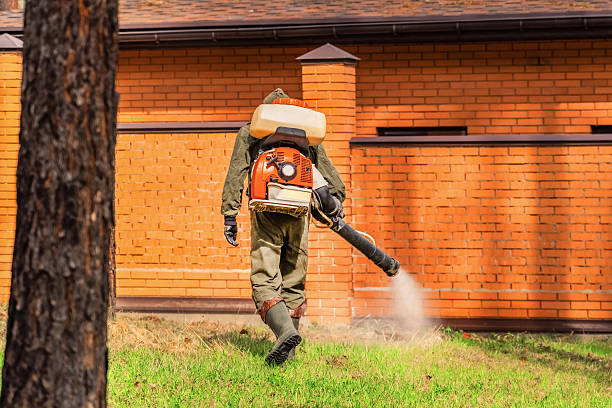 Trusted Termite Control service in Gulf Hills, MS - Nex Pest Control